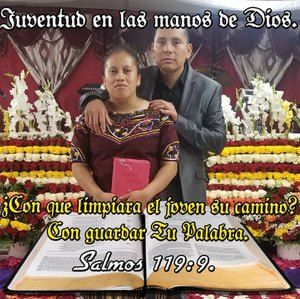 Meet your Posher, Tomas